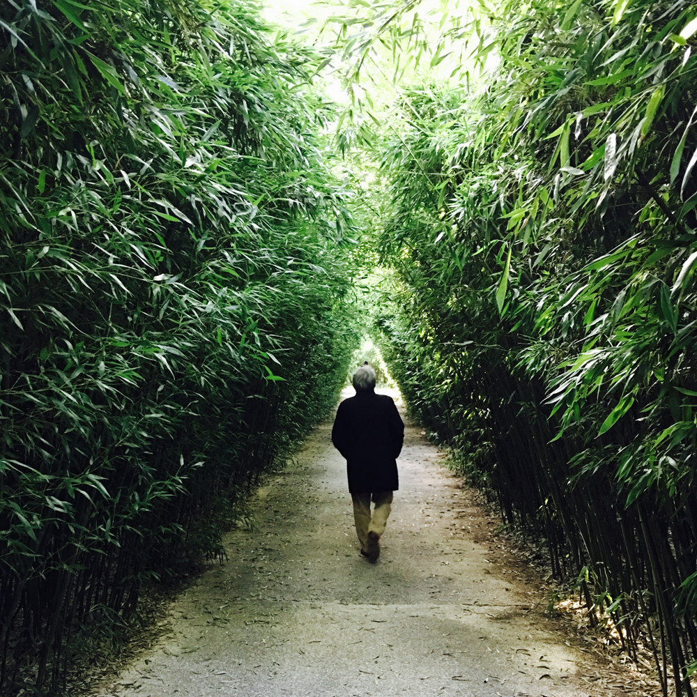 The largest labyrinth in the world is made of bamboo